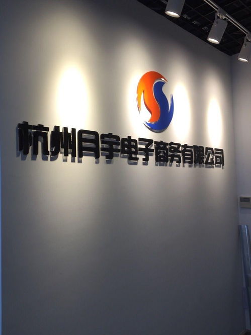 杭州月宇電子商務有限公司 電商浪潮中的創新實踐與未來發展